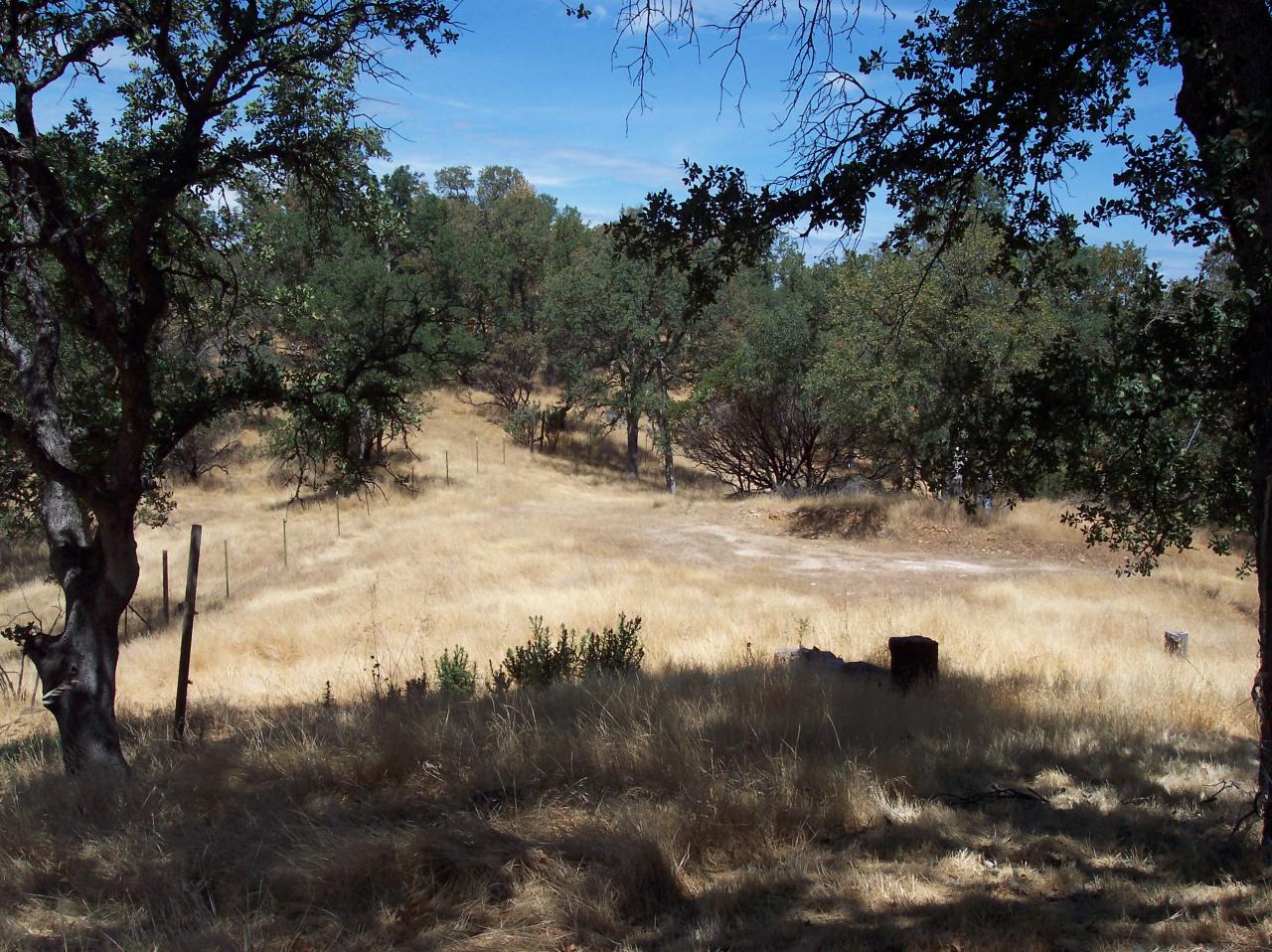 8198 Maynard Road Palo Cedro, CA 96073 - Photo 27 of 53 BUILD SITE