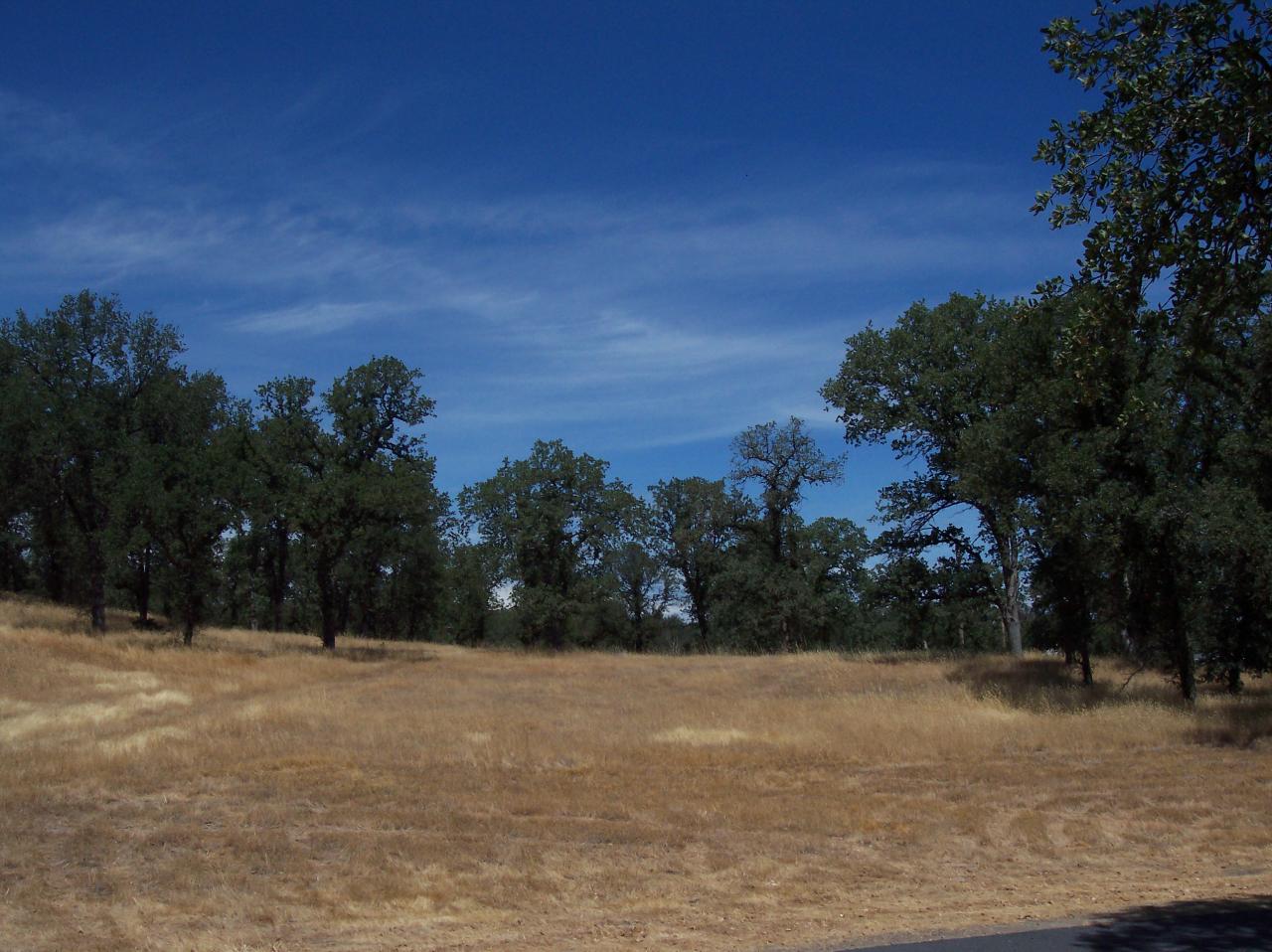 8198 Maynard Road Palo Cedro, CA 96073 - Photo 28 of 53 BUILD SITE