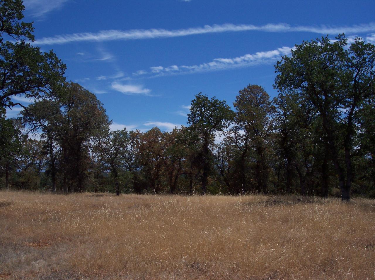 8198 Maynard Road Palo Cedro, CA 96073 - Photo 33 of 53 PROPERTY