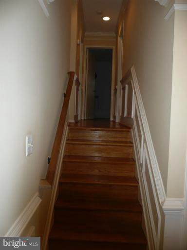 7411 Gary Street Springfield, VA 22150 - Photo 14 of 26 Interior (General)