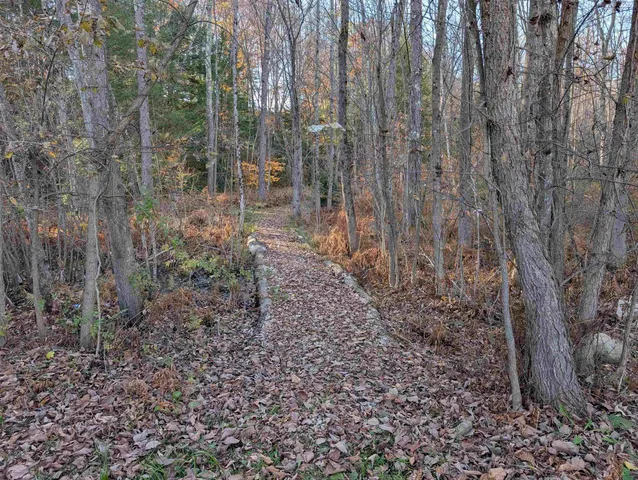 $120,000 | Lot 11-1 Pleasant Street, Bristol, NH 03222