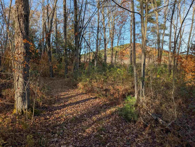 $120,000 | Lot 11-1 Pleasant Street, Bristol, NH 03222