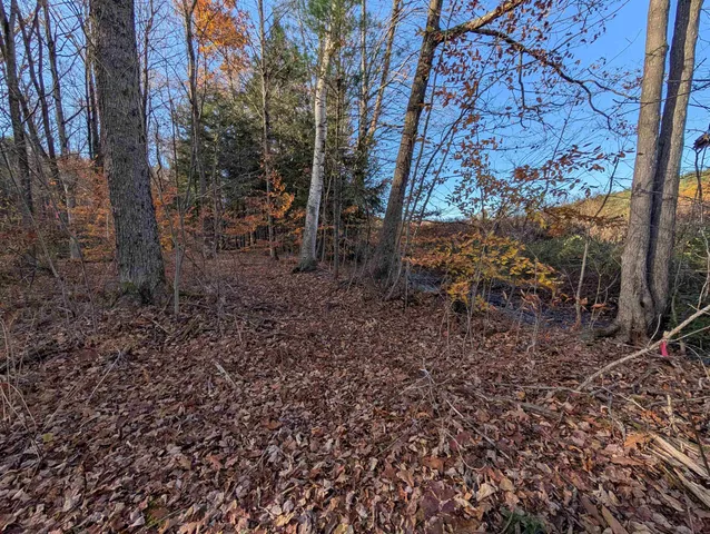 $120,000 | Lot 11-1 Pleasant Street, Bristol, NH 03222
