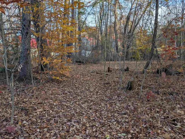 $120,000 | Lot 11-1 Pleasant Street, Bristol, NH 03222
