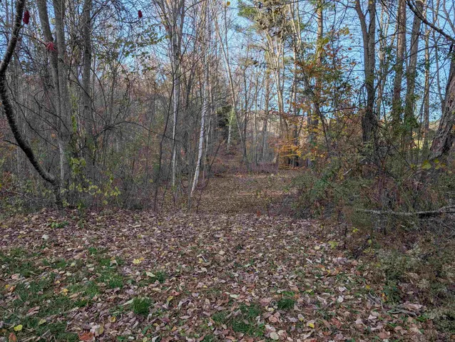 $120,000 | Lot 11-1 Pleasant Street, Bristol, NH 03222