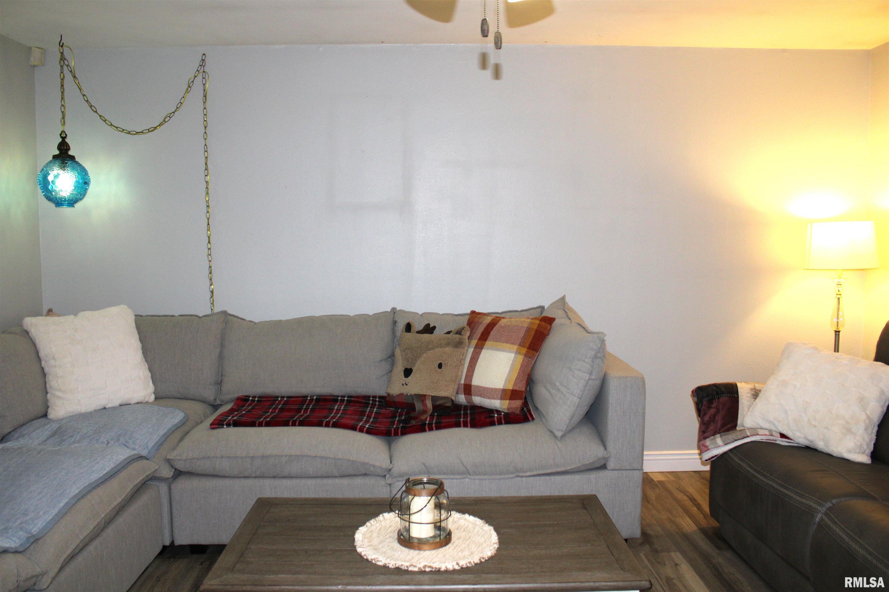 4786 Keller Road Iuka, IL 62849 - Photo 7 of 37