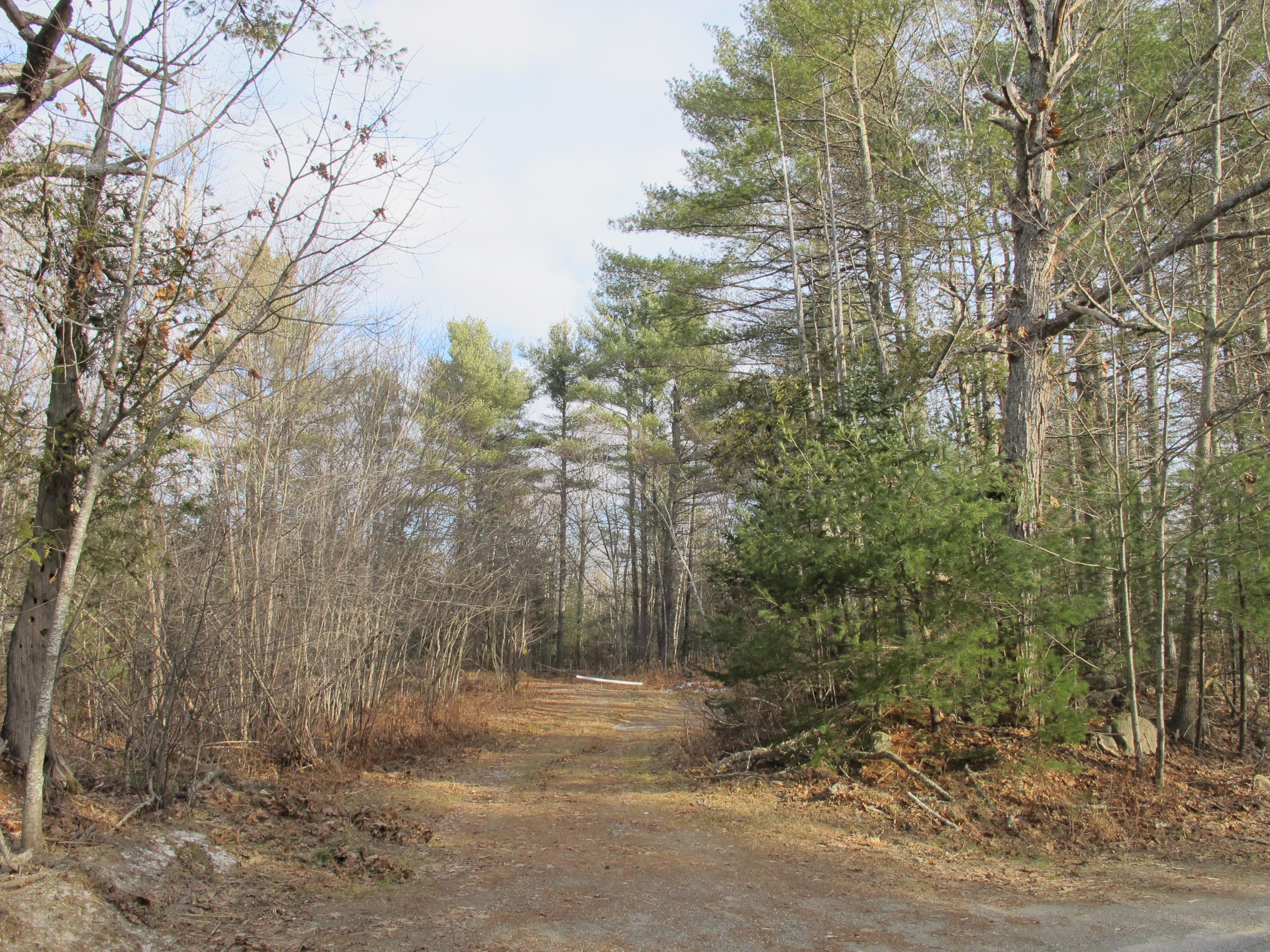 0 Banks Road Belfast, ME 04915 - Photo 3 of 11 IMG_8769