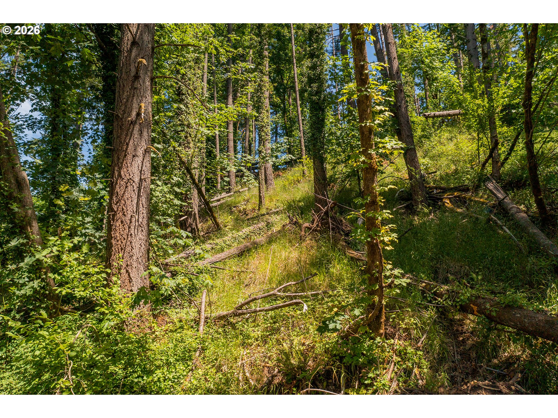 South 70th Street Springfield, OR 97478 - Photo 13 of 28