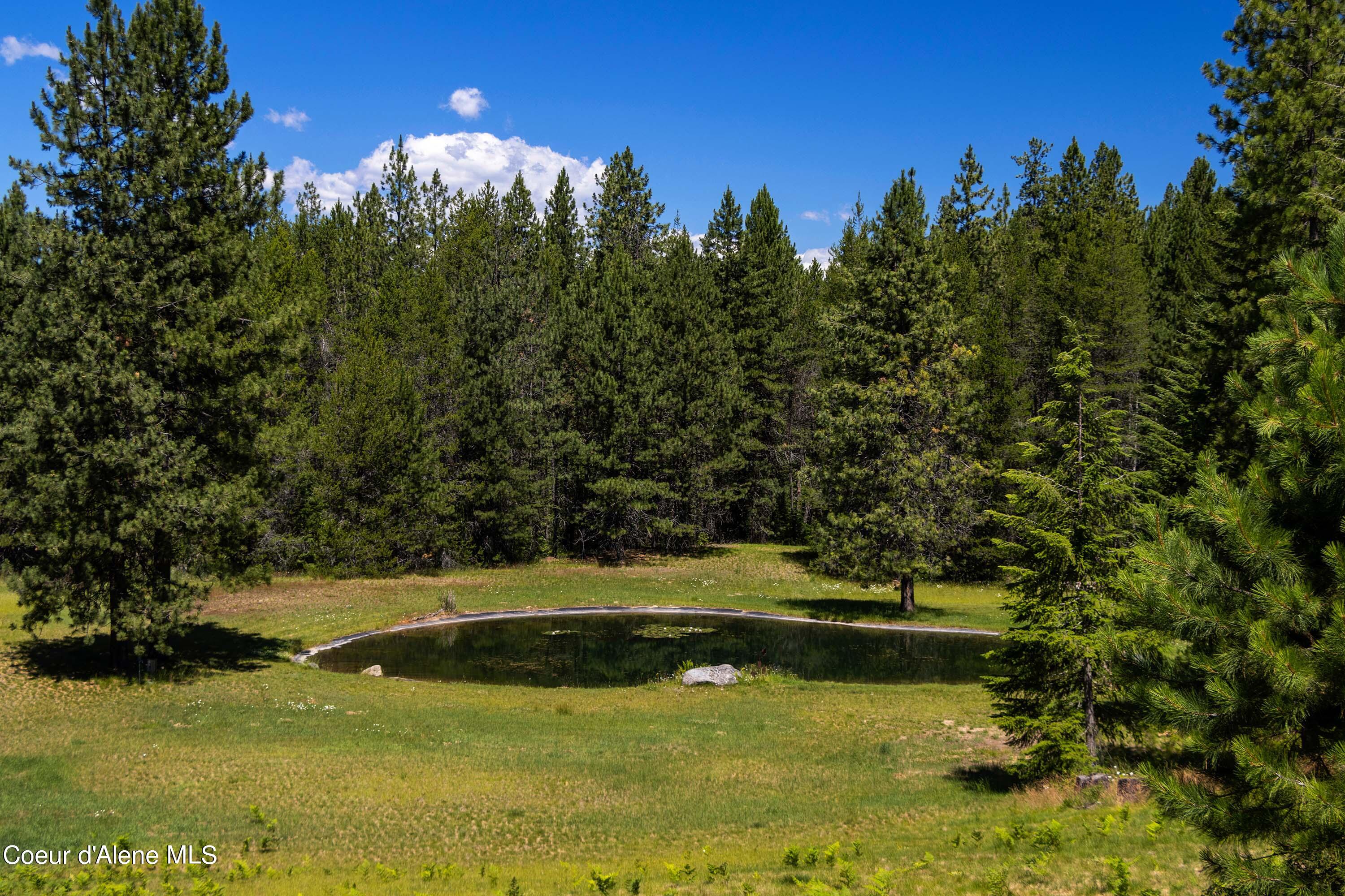 877 Heath Lake Road Sagle, ID 83860 - Photo 53 of 60 The Pond