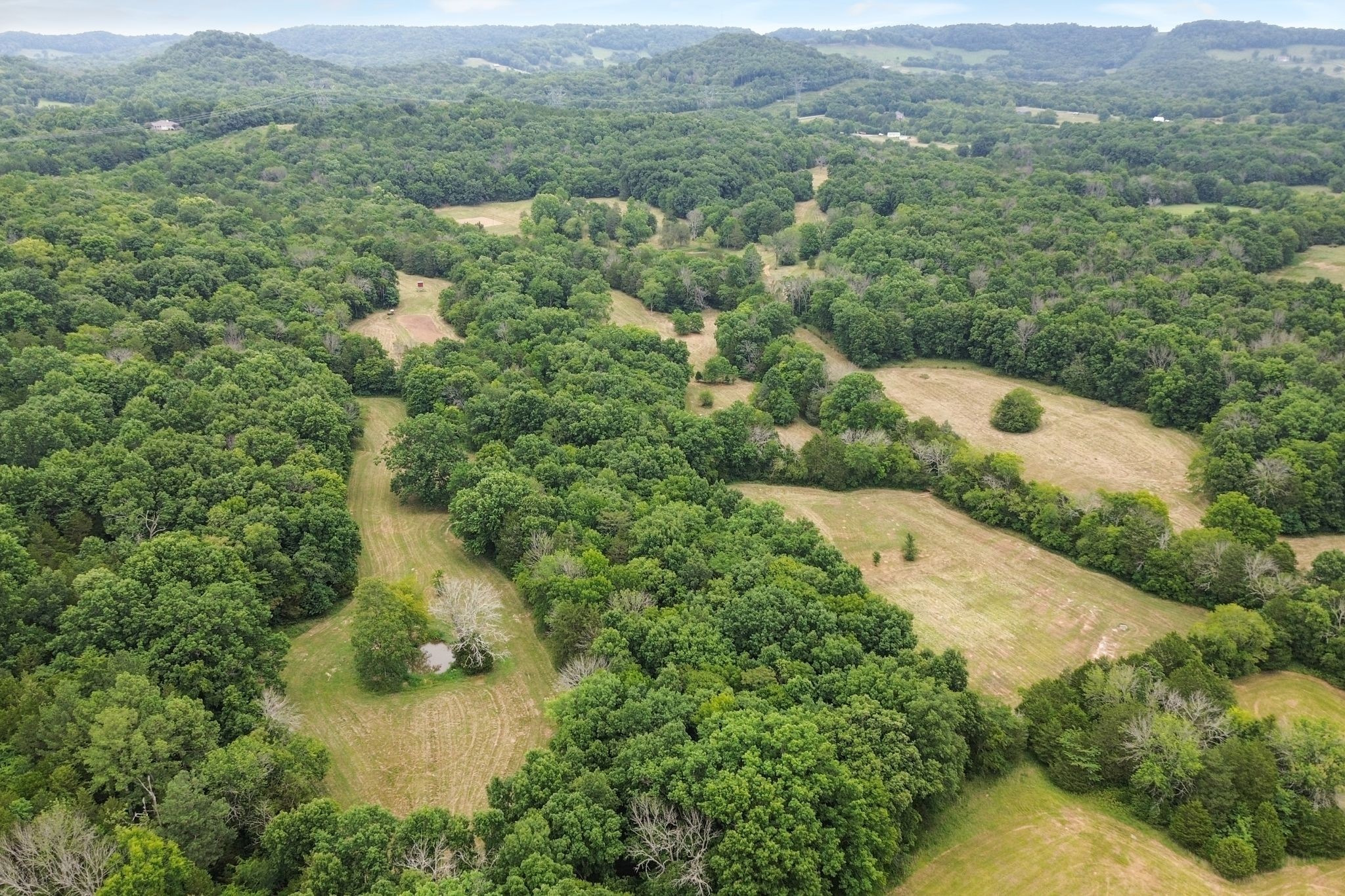 6770 Bly-Trice Road College Grove, TN 37046 - Photo 24 of 58 an aerial view of residential houses with outdoor space and trees