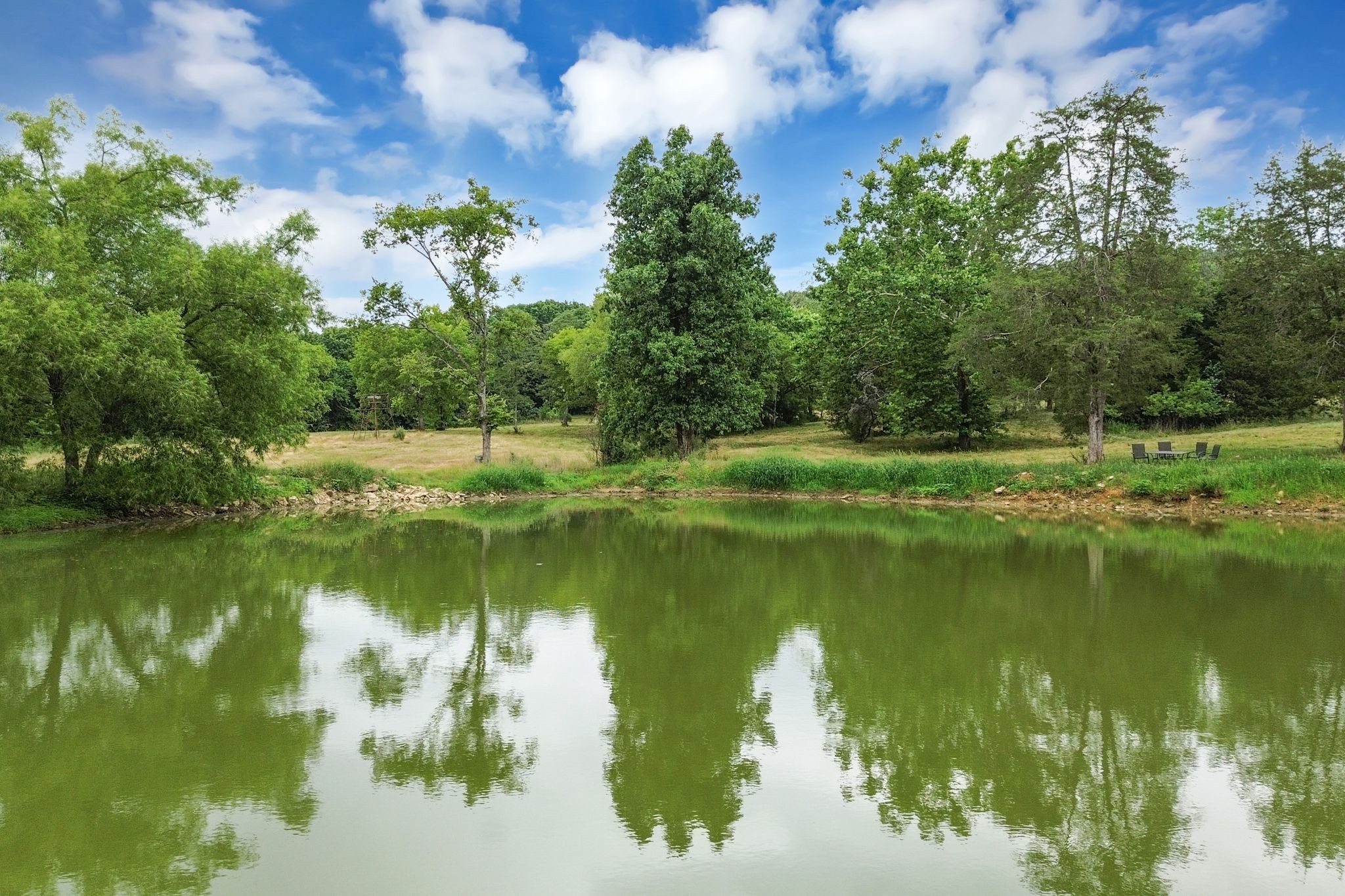6770 Bly-Trice Road College Grove, TN 37046 - Photo 26 of 58 a view of a lake with a yard