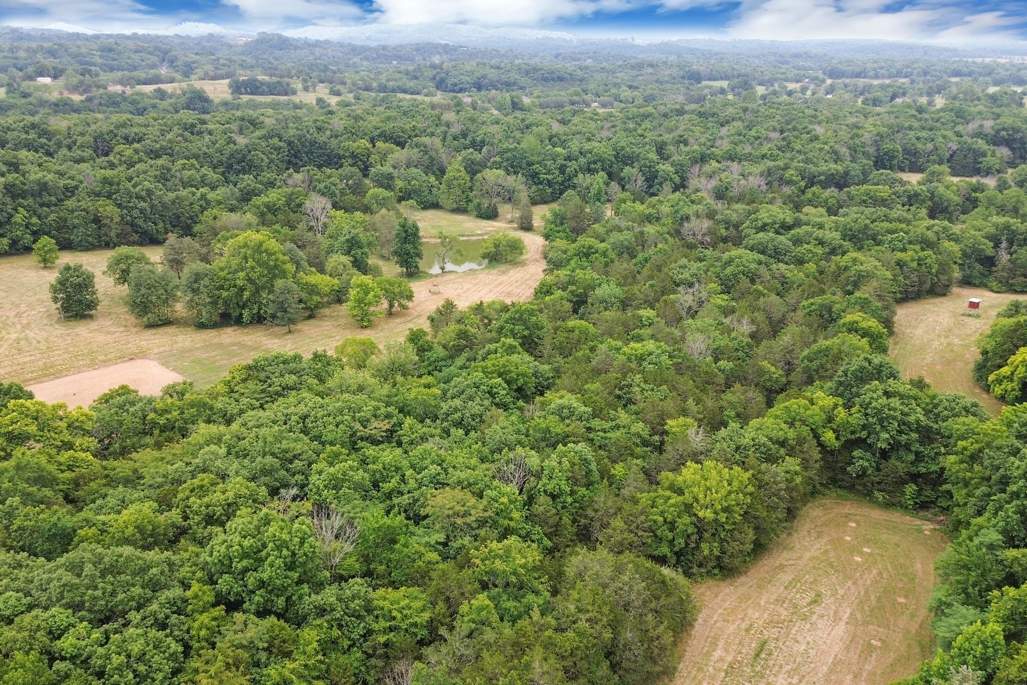 6770 Bly-Trice Road College Grove, TN 37046 - Photo 27 of 58 an aerial view of a house with a yard