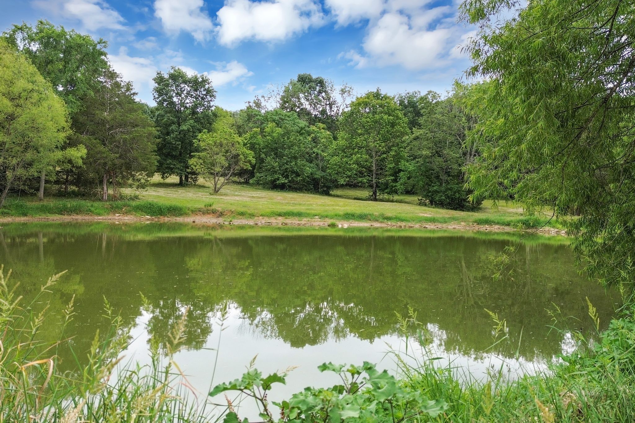 6770 Bly-Trice Road College Grove, TN 37046 - Photo 3 of 58 a view of a lake from a lake