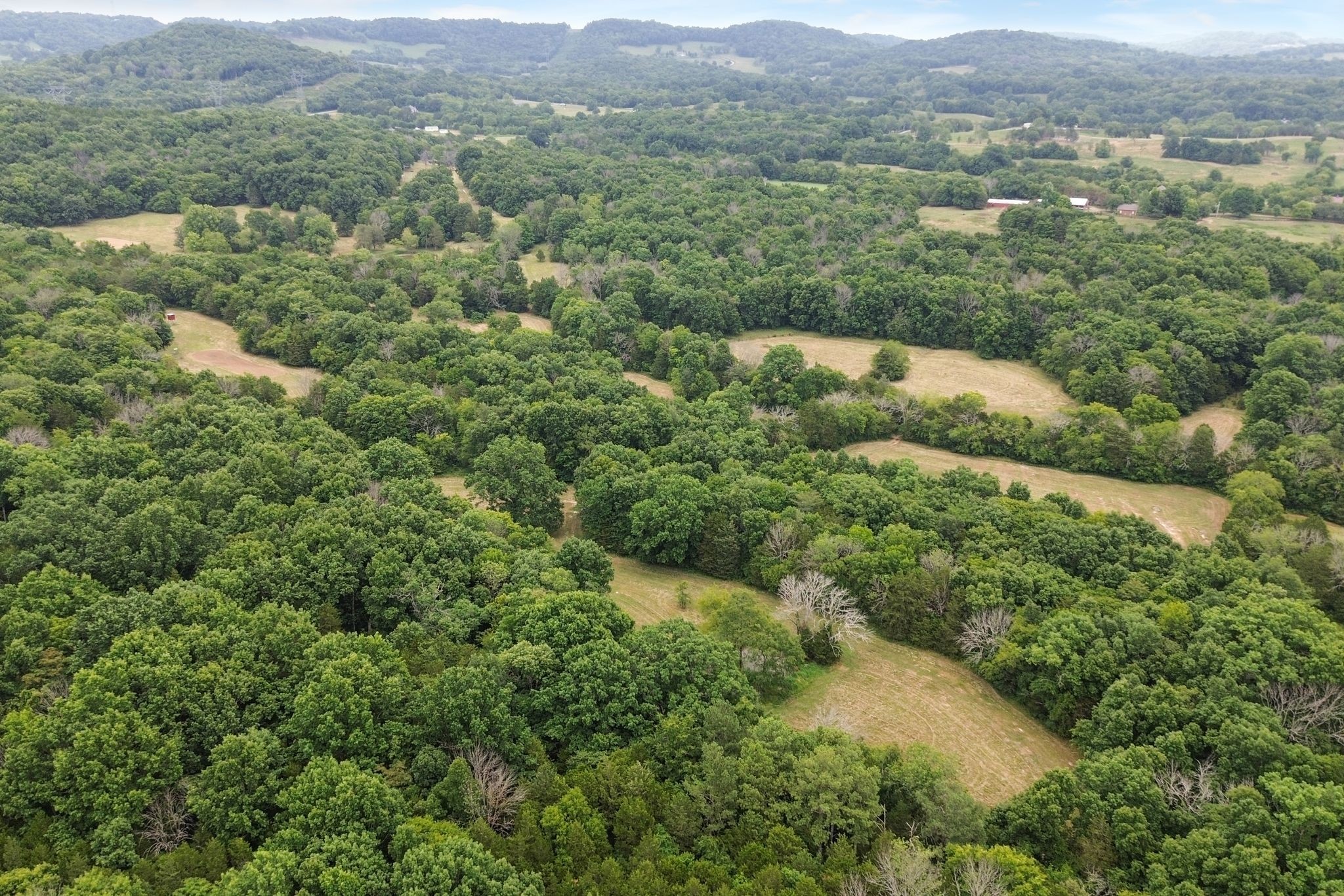 6770 Bly-Trice Road College Grove, TN 37046 - Photo 31 of 58 an aerial view of forest