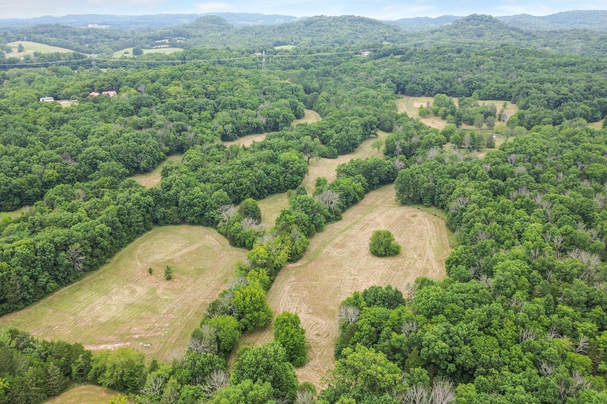 6770 Bly-Trice Road College Grove, TN 37046 - Photo 32 of 58 an aerial view of residential house with outdoor space and trees all around