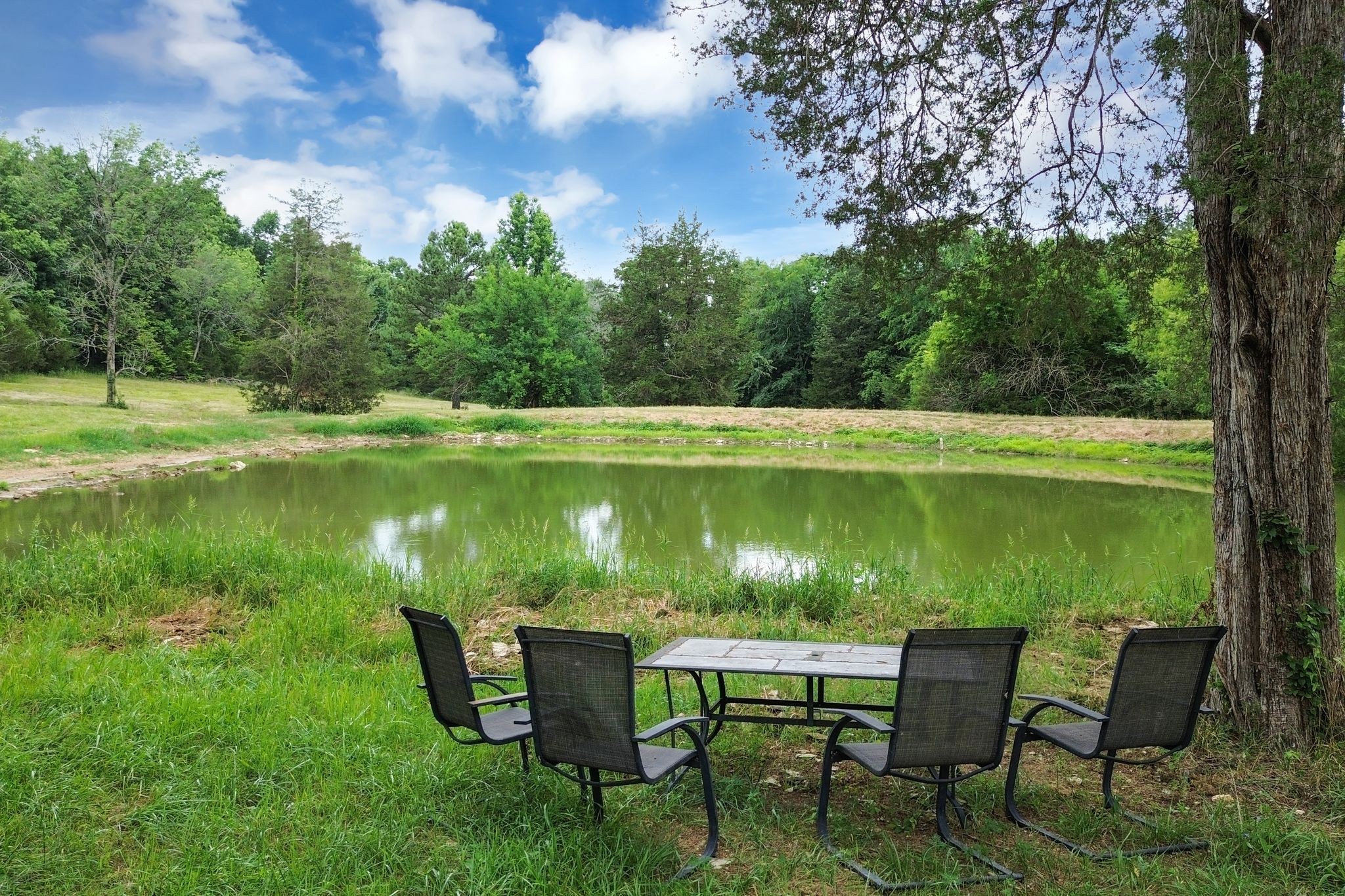 6770 Bly-Trice Road College Grove, TN 37046 - Photo 33 of 58 a view of a lake with table and chairs