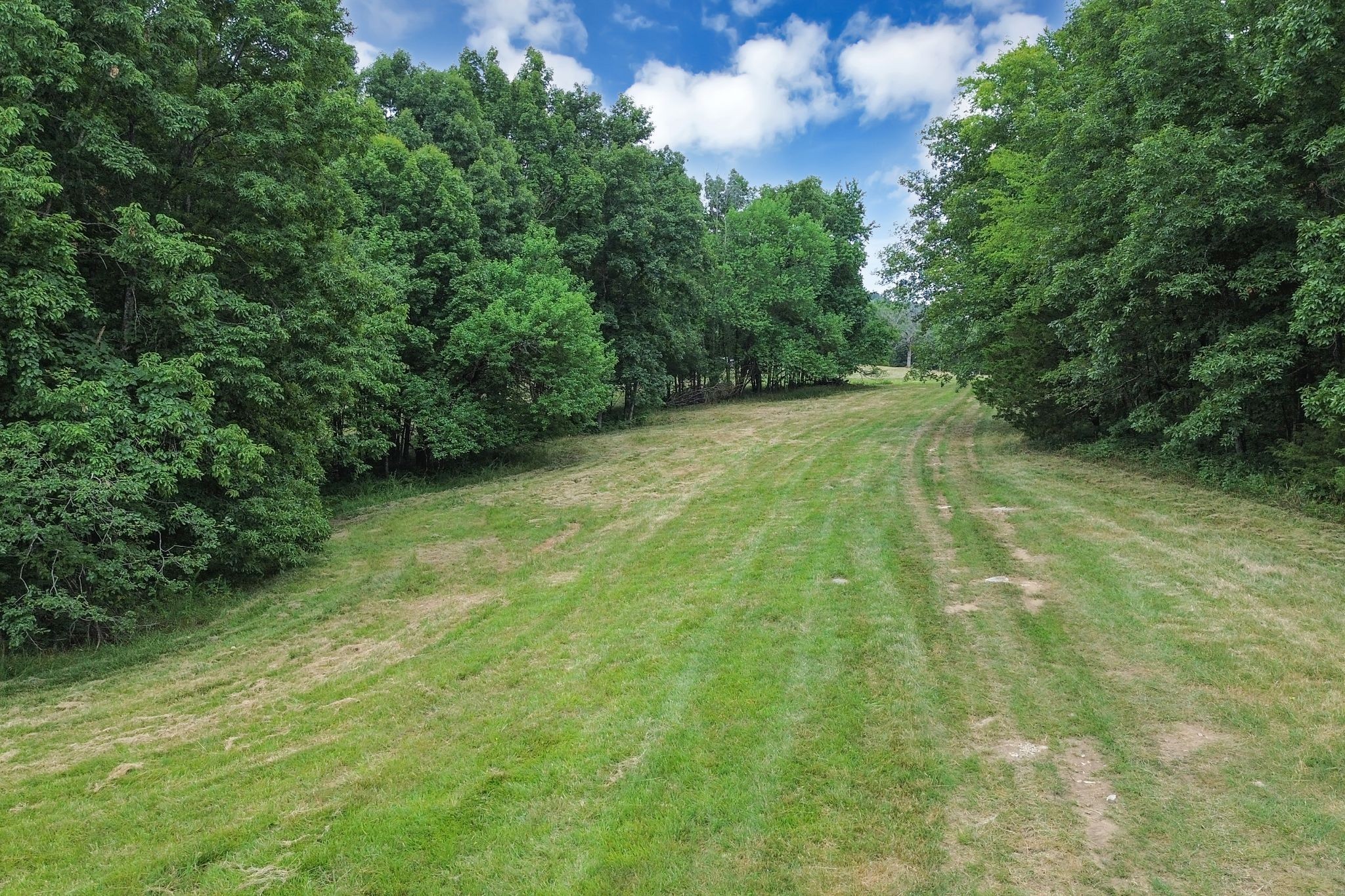 6770 Bly-Trice Road College Grove, TN 37046 - Photo 34 of 58 a view of yard with green space
