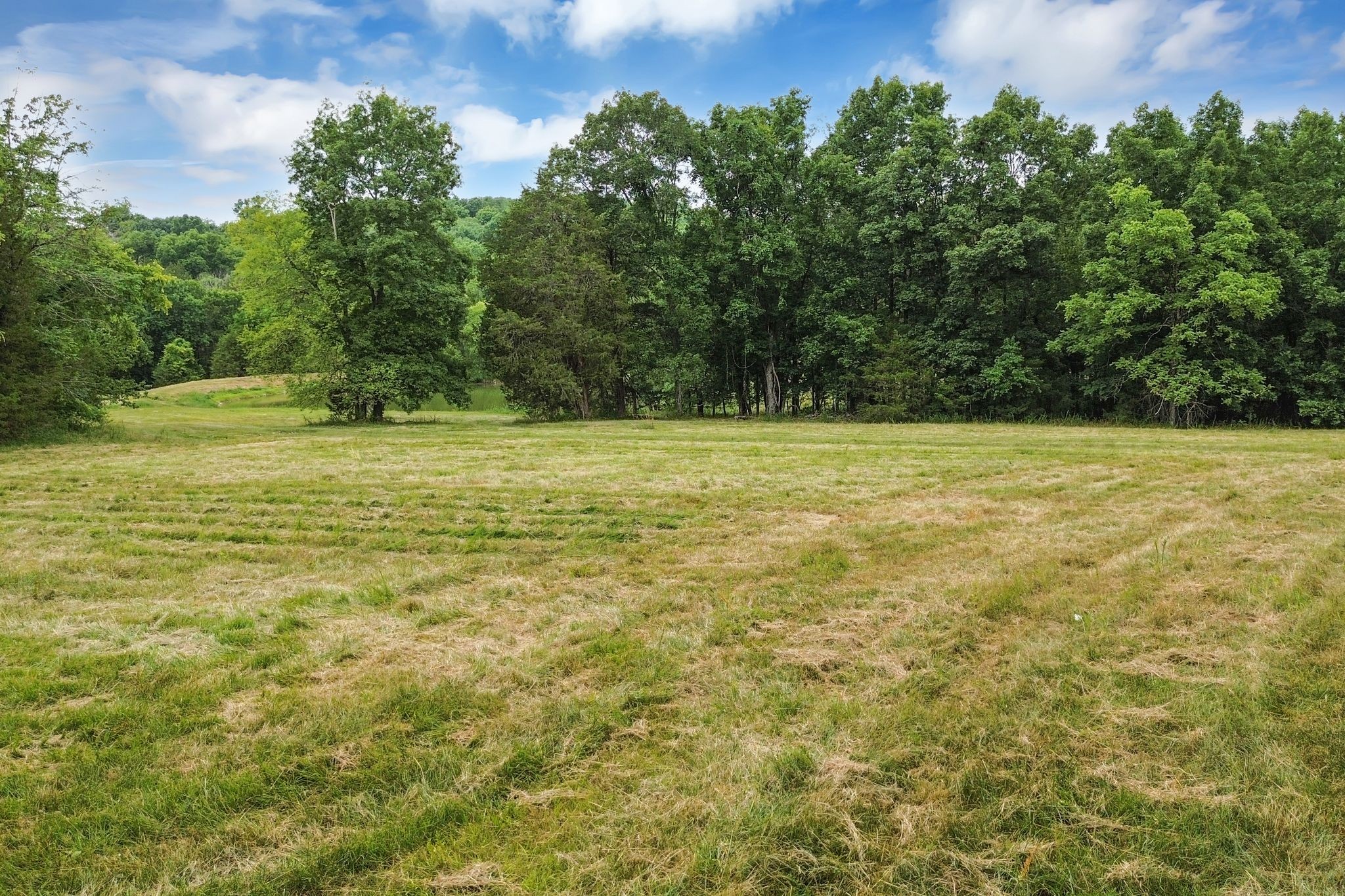 6770 Bly-Trice Road College Grove, TN 37046 - Photo 35 of 58 a view of empty and green space