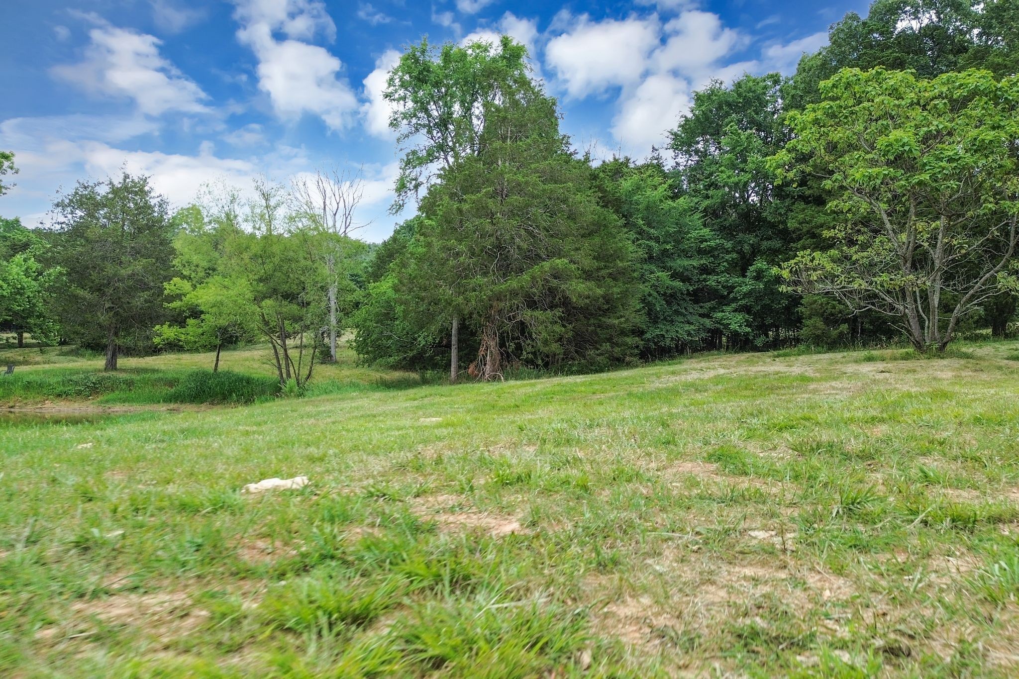 6770 Bly-Trice Road College Grove, TN 37046 - Photo 36 of 58 a view of a grassy field