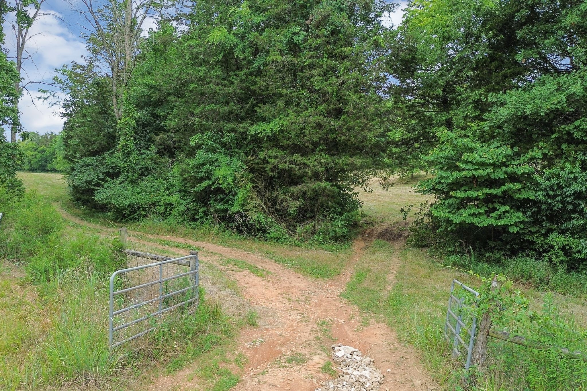 6770 Bly-Trice Road College Grove, TN 37046 - Photo 37 of 58 a view of a lake with a yard