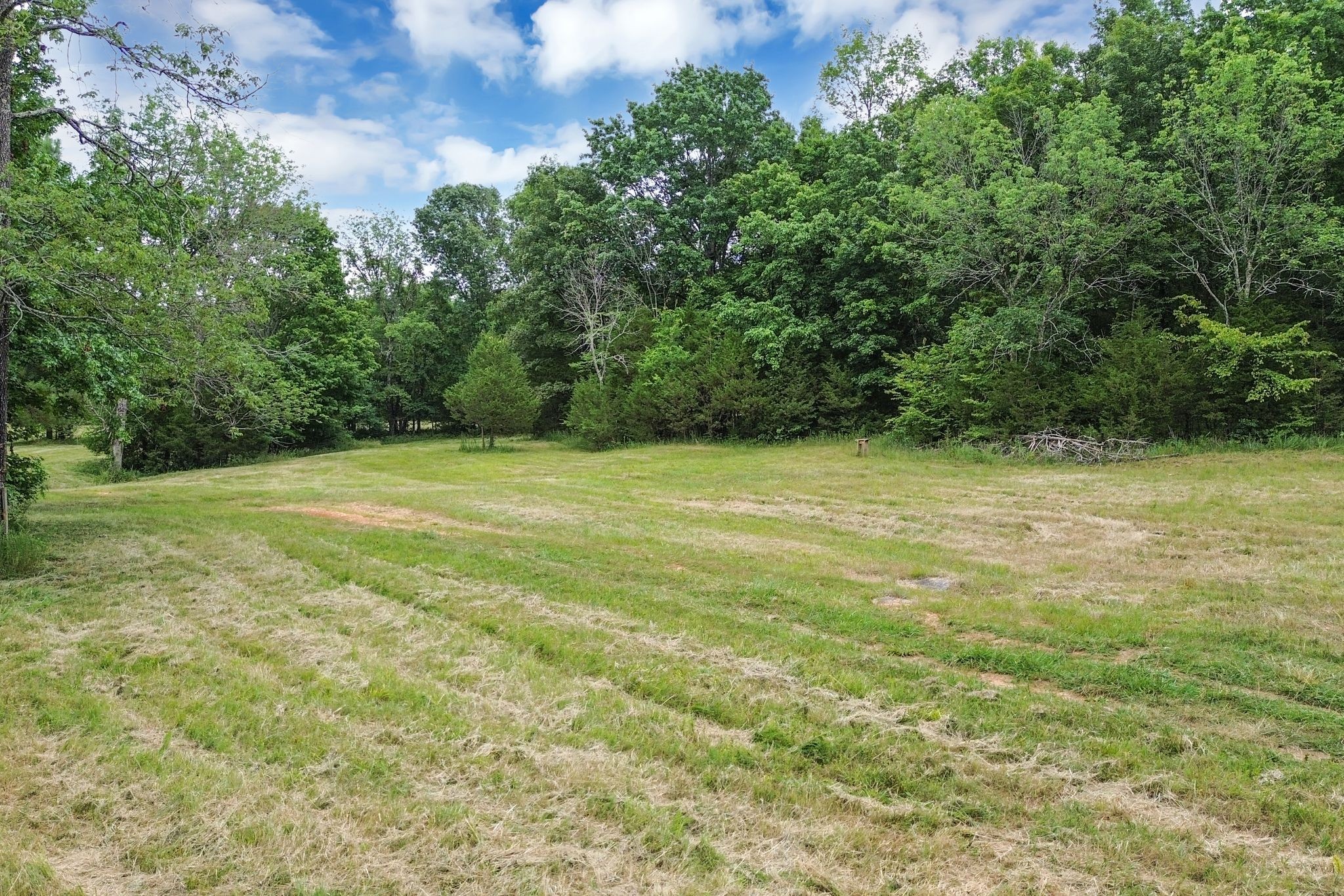 6770 Bly-Trice Road College Grove, TN 37046 - Photo 38 of 58 a view of a field with trees in the background