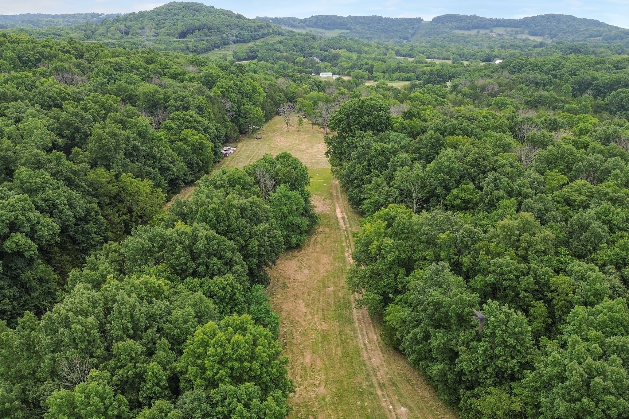 6770 Bly-Trice Road College Grove, TN 37046 - Photo 39 of 58 a view of a lake with a mountain in the background