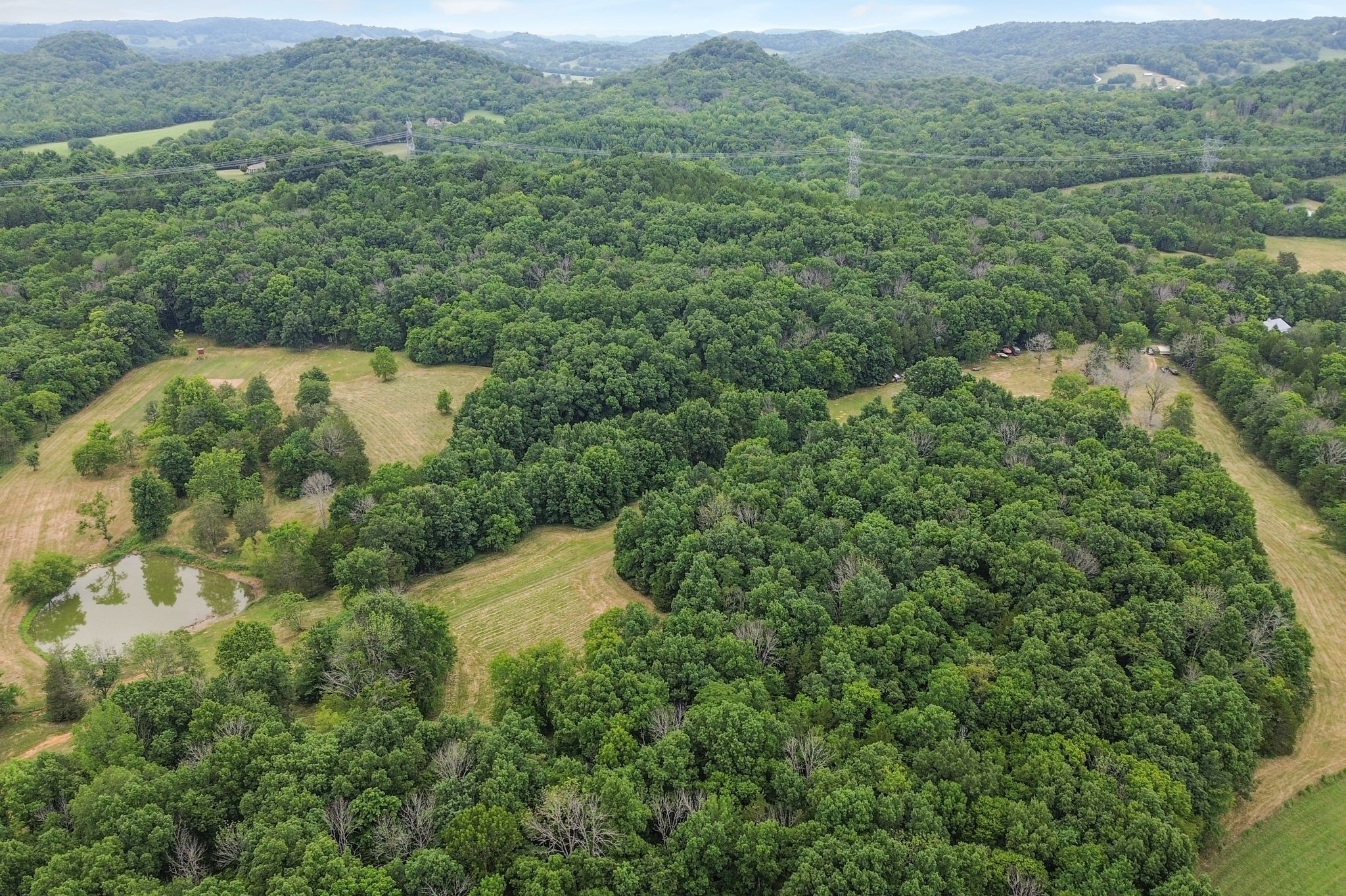 6770 Bly-Trice Road College Grove, TN 37046 - Photo 40 of 58