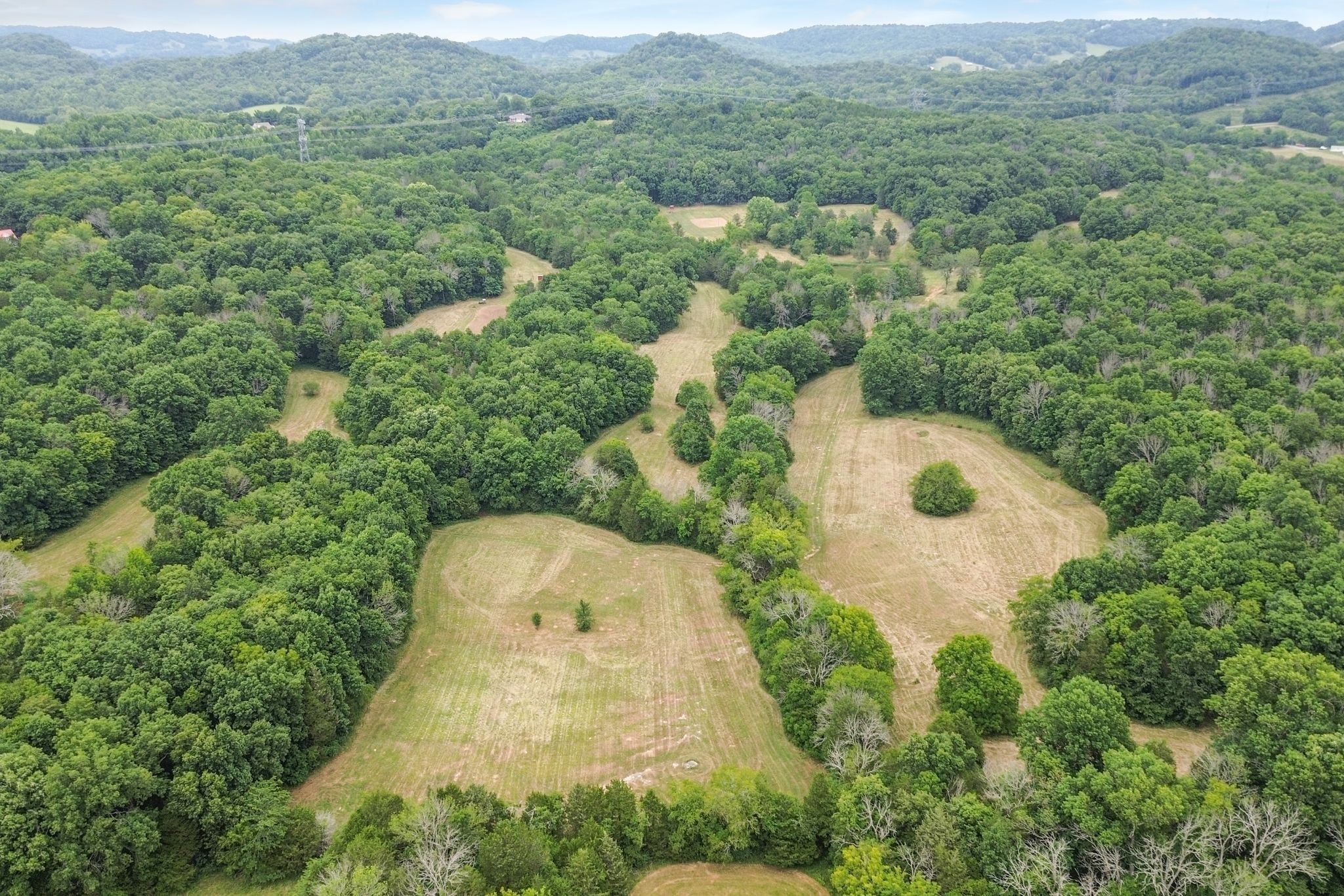 6770 Bly-Trice Road College Grove, TN 37046 - Photo 4 of 58 an aerial view of a house with a yard