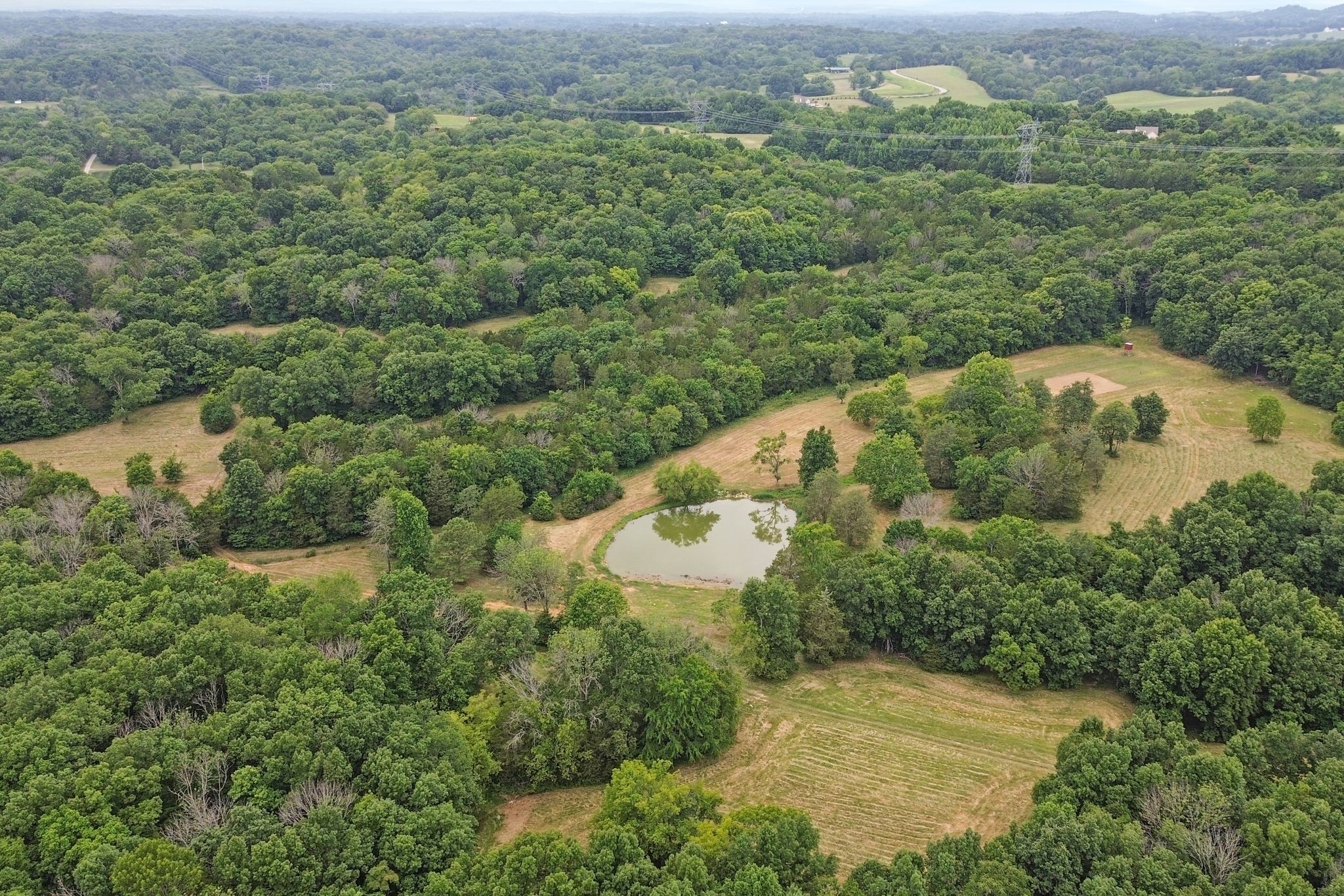 6770 Bly-Trice Road College Grove, TN 37046 - Photo 42 of 58 an aerial view of a house