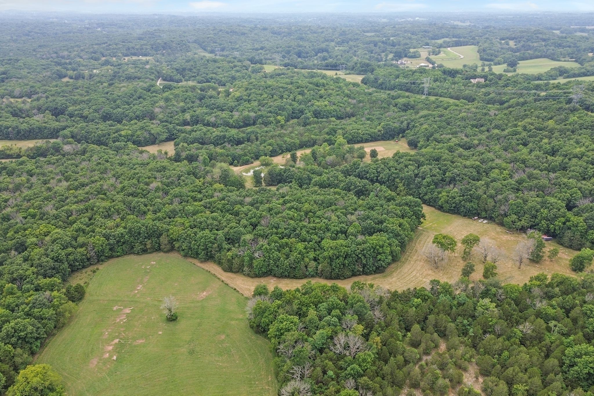 6770 Bly-Trice Road College Grove, TN 37046 - Photo 44 of 58 an aerial view of residential houses with outdoor space and trees