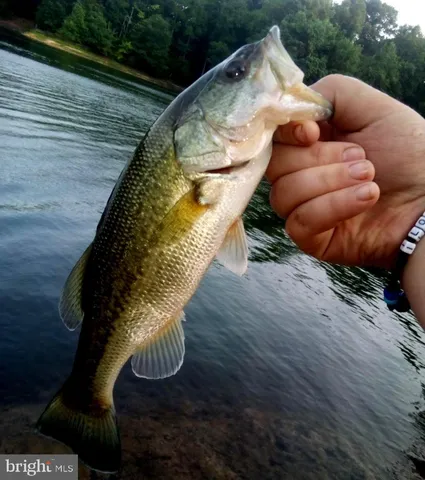a view of ocean view