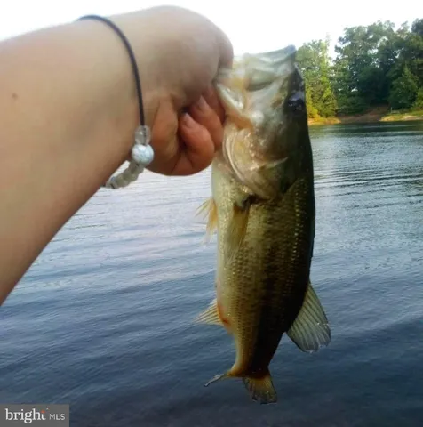 $524,900 | 316 Plantation Drive, Montross, VA 22520