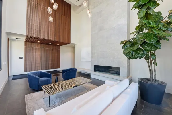 a living room with furniture potted plant and a lamp