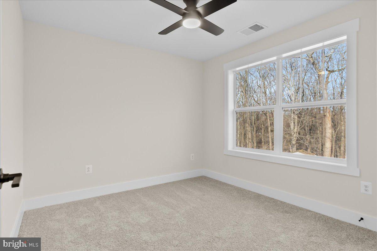 19538 Jerusalem Church Terrace Poolesville, MD 20837 - Photo 39 of 58