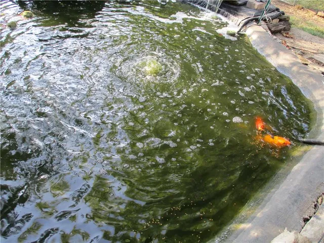 $340,000 | 7410 Stearns Street, Shawnee, KS 66203