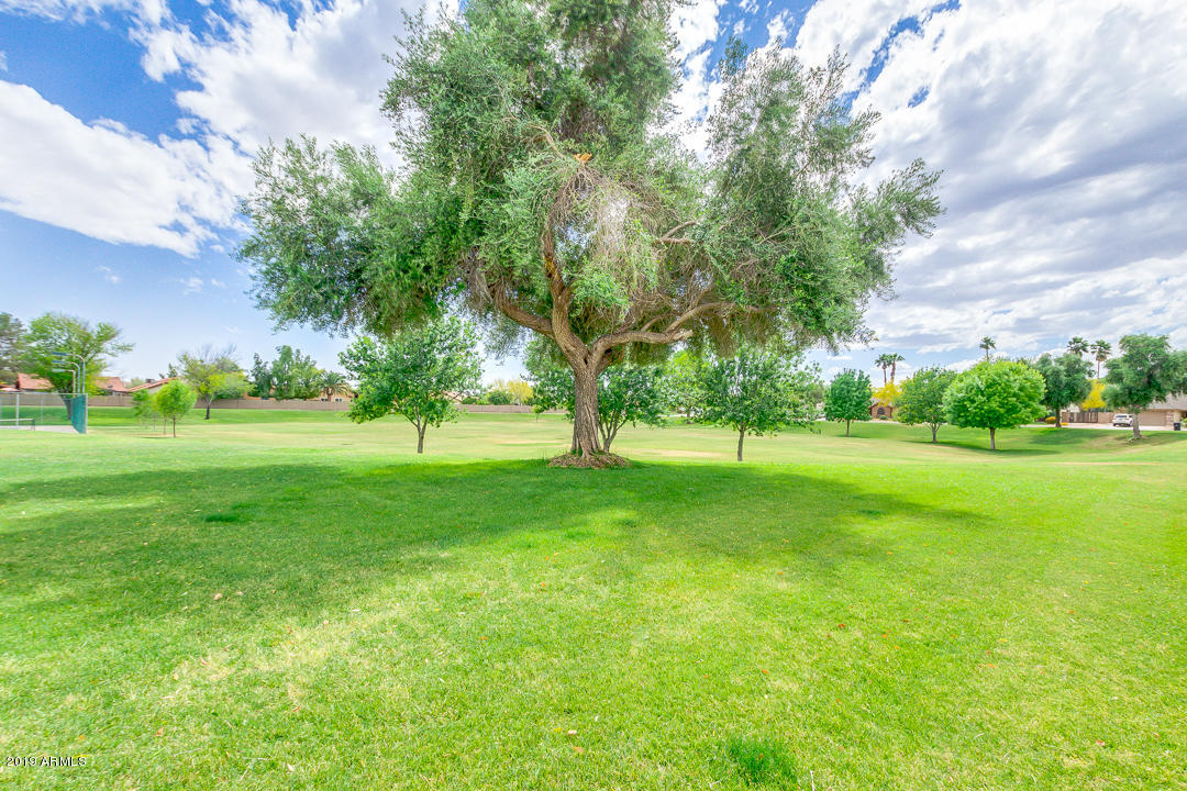 4167 West Post Road Chandler, AZ 85226 - Photo 44 of 46 55-Post