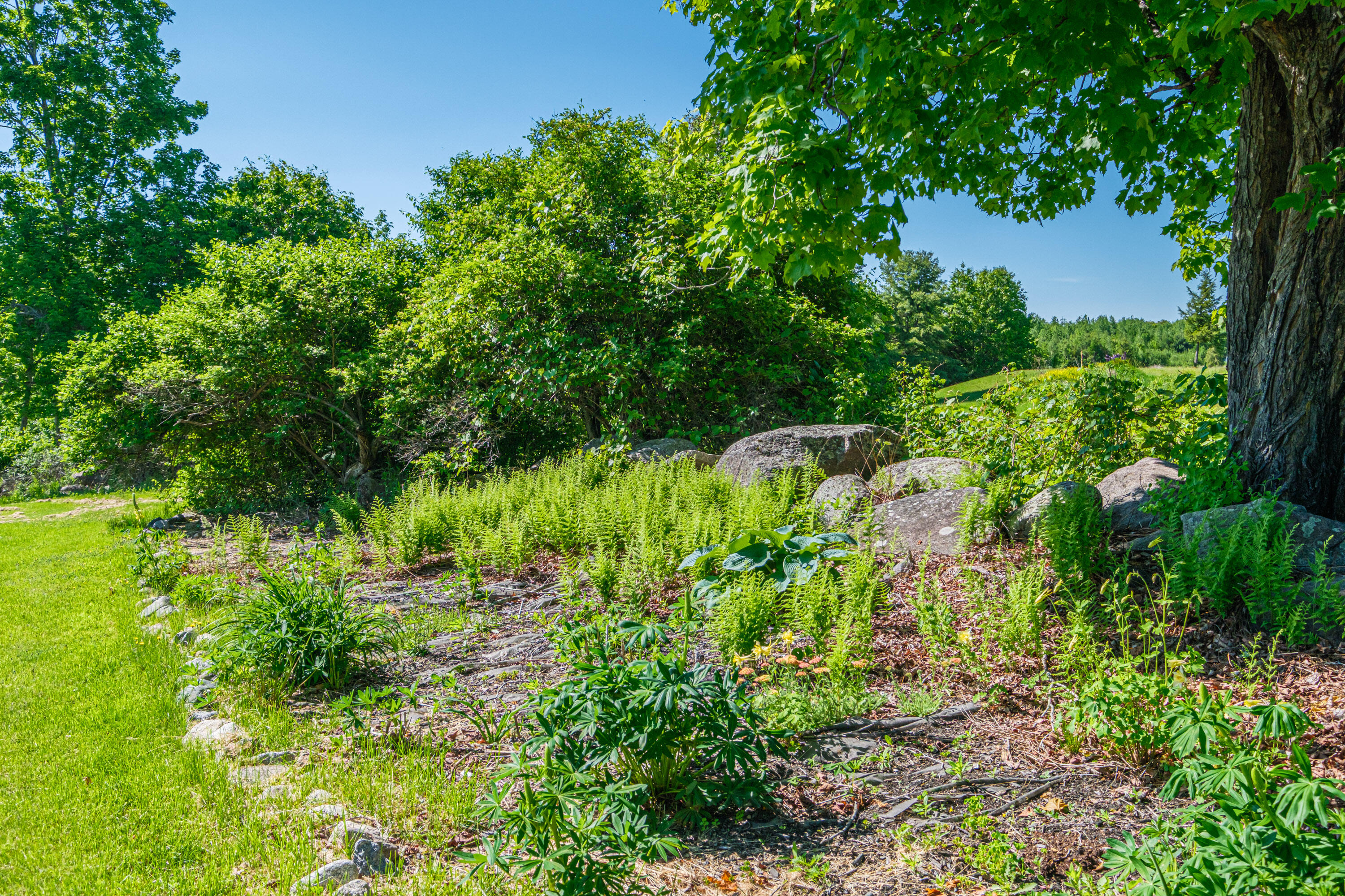 273 Lords Hill Road Brownfield, ME 04010 - Photo 76 of 80 20260603gp-63079