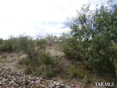 8475 South Tumbling X Ranch Place Vail, AZ 85641 - Photo 4 of 19 Gallery Image 4
