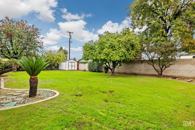 a view of a backyard