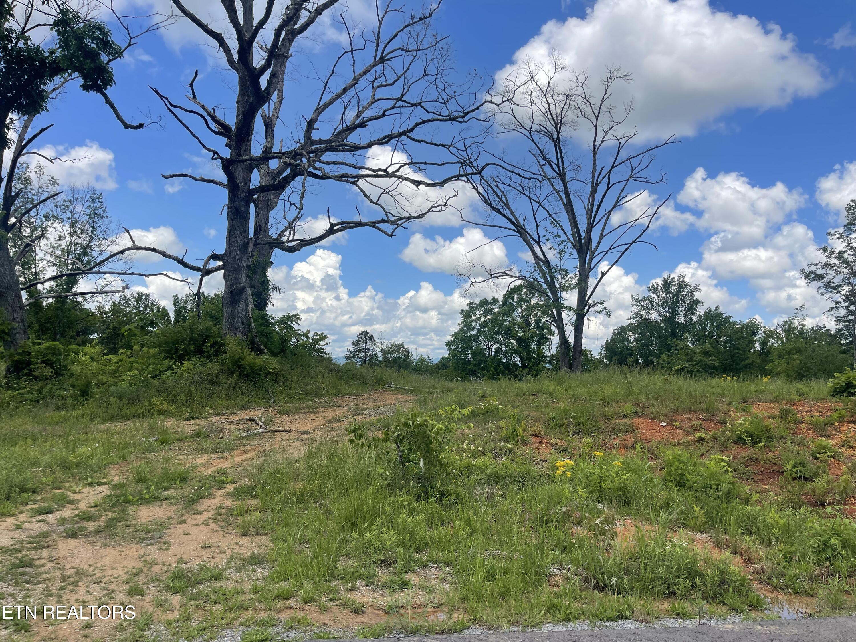 Lot 11 Laura Boling Loop Road Strawberry Plains, TN 37871 - Photo 1 of 2 811B41A4-248D-45D5-86D8-9156134A063D