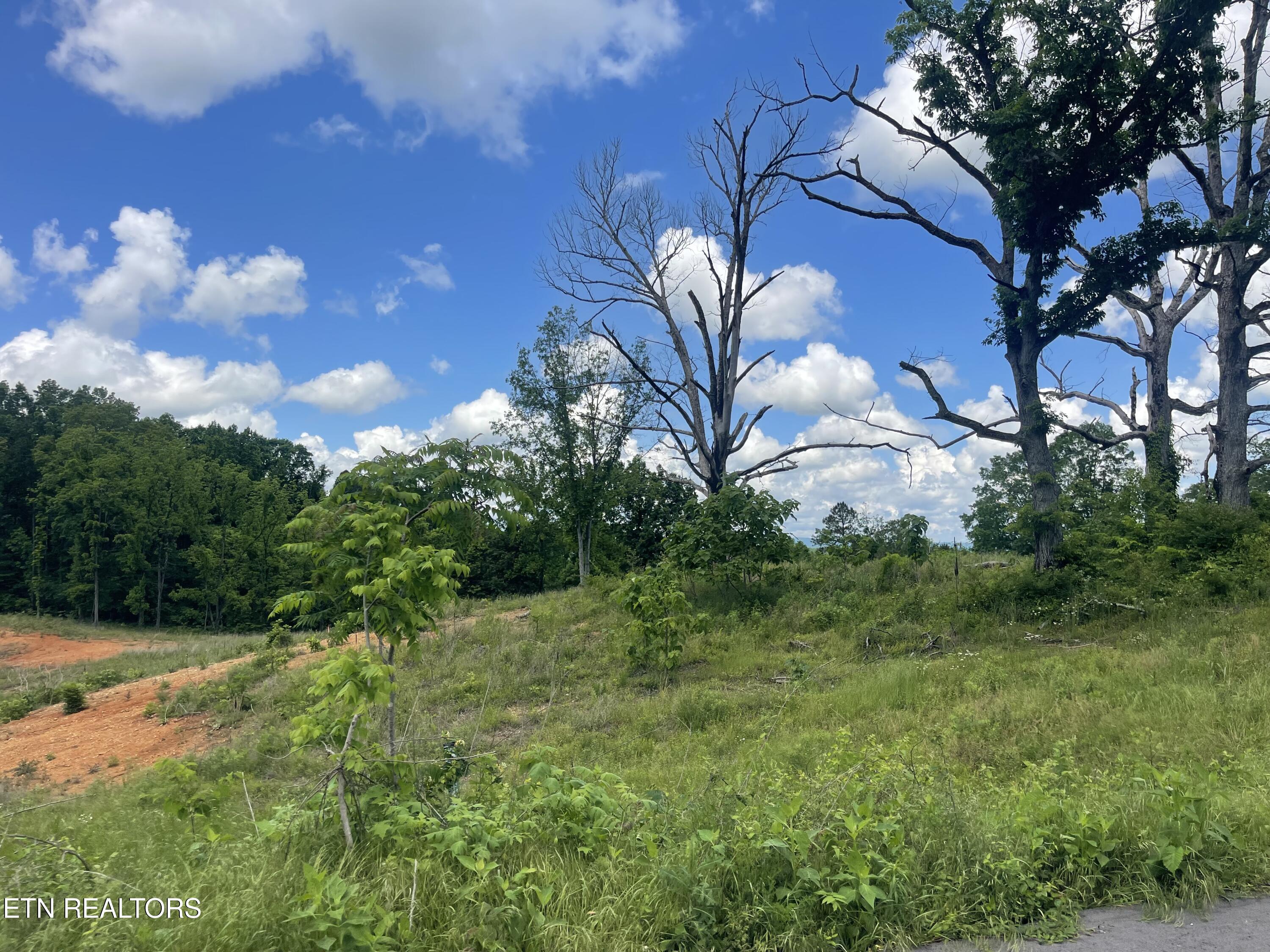 Lot 11 Laura Boling Loop Road Strawberry Plains, TN 37871 - Photo 2 of 2 8DADFC1F-61A8-4939-AC15-8DE38C993DB5