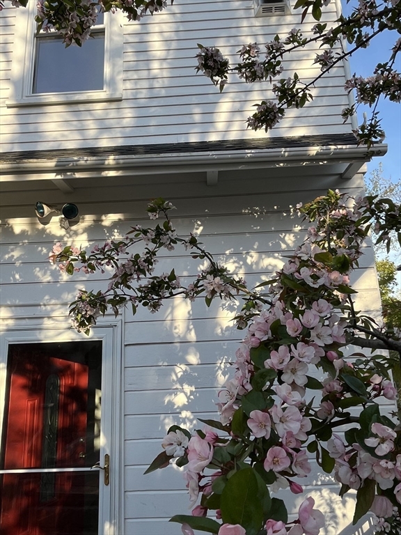 303 Nahant Road Nahant, MA 01908 - Photo 33 of 37