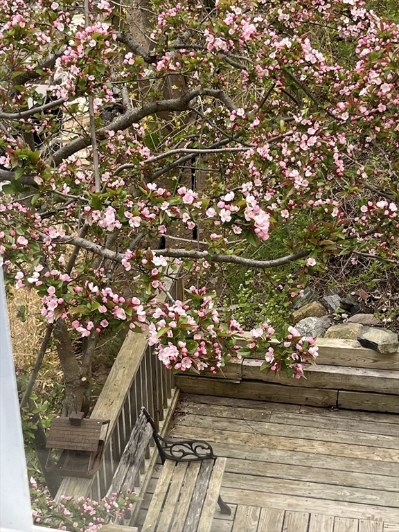 303 Nahant Road Nahant, MA 01908 - Photo 35 of 37