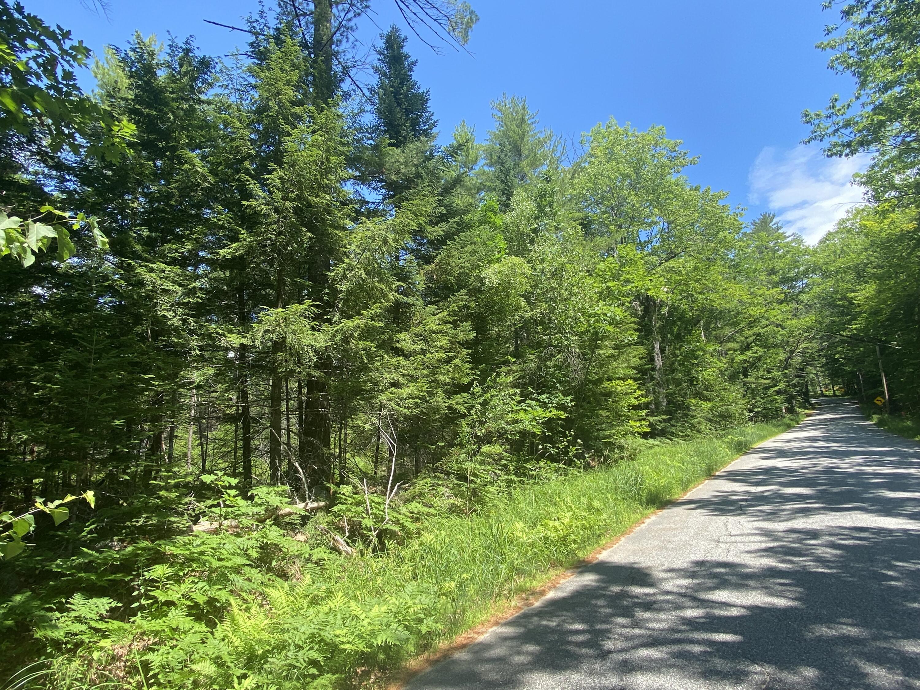 8 Map Road Bridgton, ME 04009 - Photo 6 of 6 hio ridge5