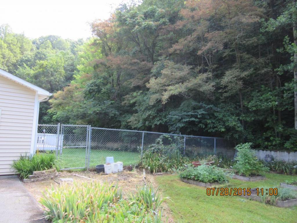 306 Tucker Hollow Road West Fall Branch, TN 37656 - Photo 8 of 24 Photo 8
