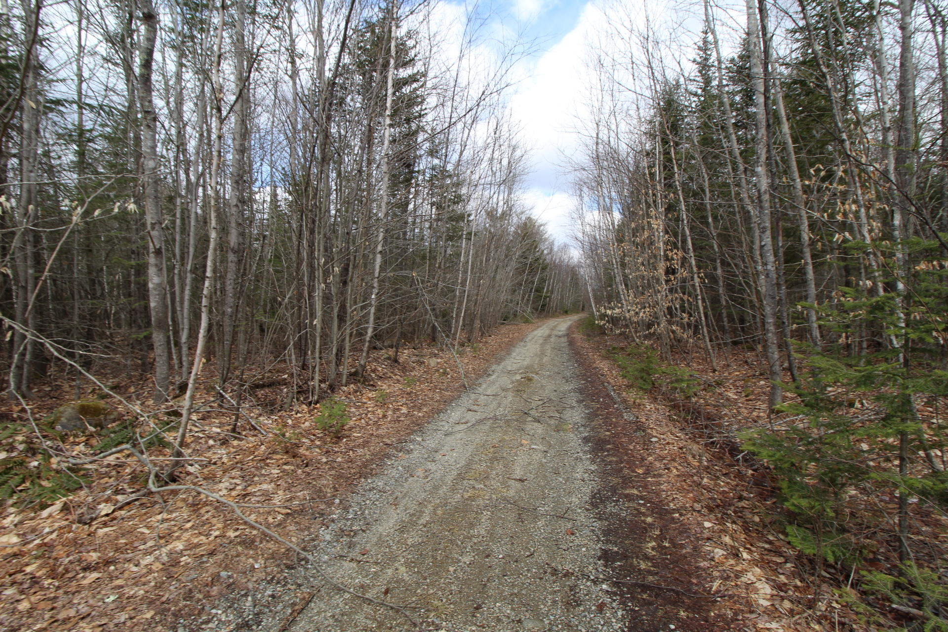 Lot 16 Back Searsport Road Belfast, ME 04915 - Photo 3 of 16 Rutland Back Searsport Rd (33)