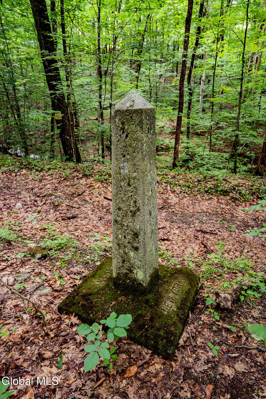 237 Bromley Lane Hebron, NY 12832 - Photo 18 of 24 _DSC8871