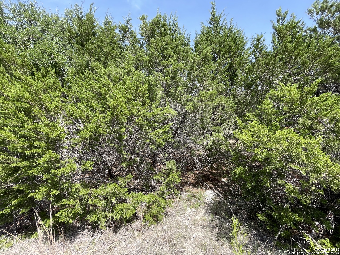 421 Blue Bonnet Breeze Spring Branch, TX 78070 - Photo 3 of 13 a view of a yard with plants and wooden fence