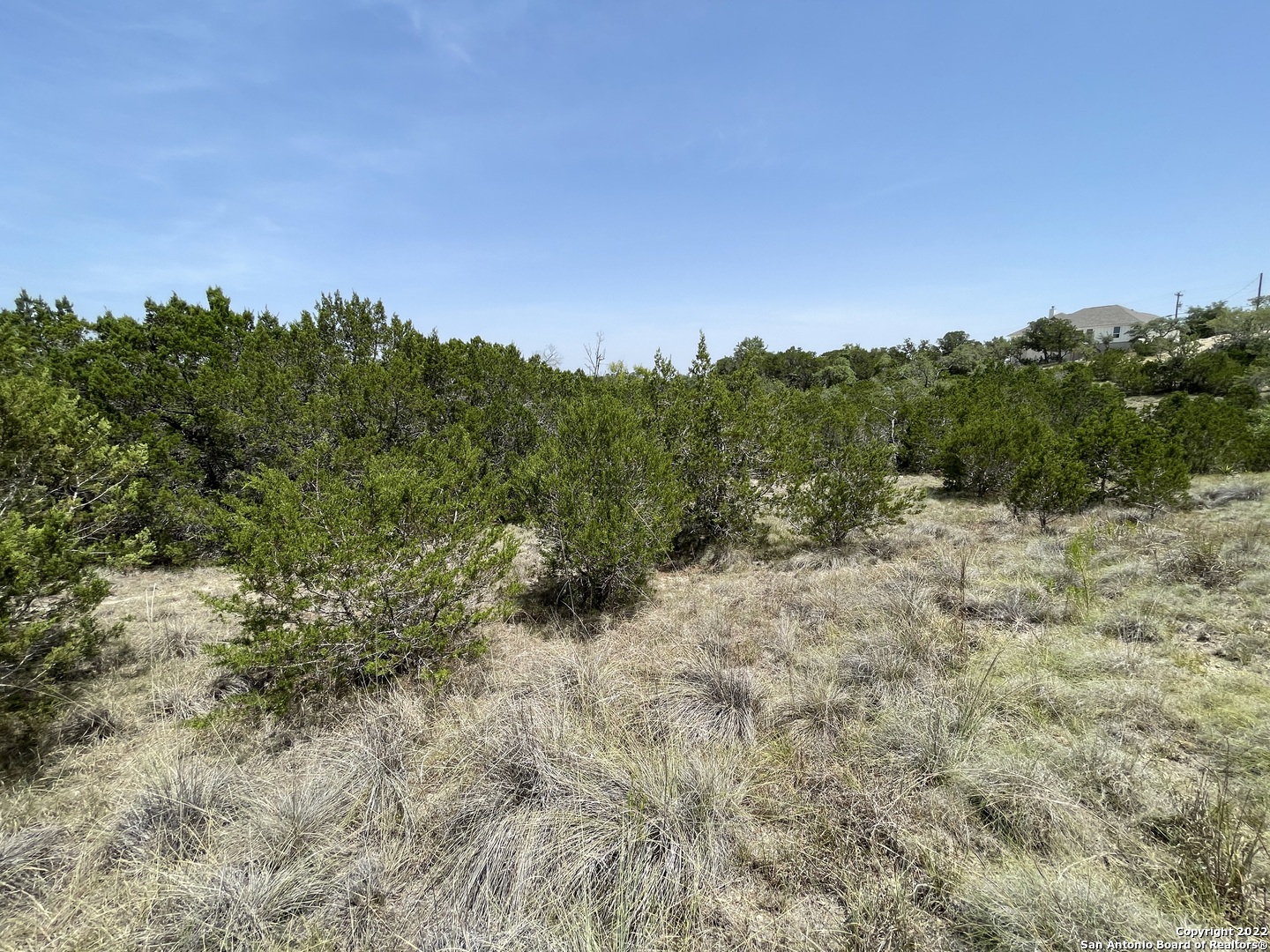 421 Blue Bonnet Breeze Spring Branch, TX 78070 - Photo 4 of 13 a view of a forest with a tree in the background