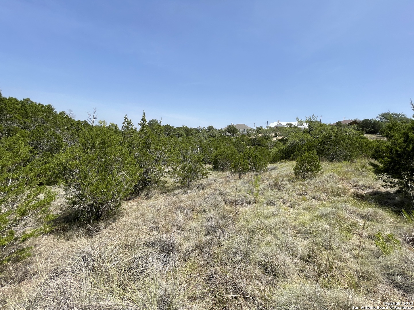 421 Blue Bonnet Breeze Spring Branch, TX 78070 - Photo 5 of 13 a view of a yard with a tree